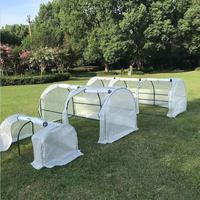 Serre de jardin en polycarbonate durable avec structure métallique robuste, montage facile pour une croissance optimale des plantes