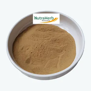 Factory Supply High Quality Bacopa Monnieri Extract Powder Bacosides 50% With Fast Delivery