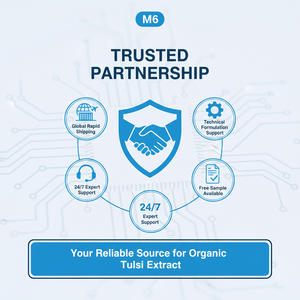 Extracto Natural de Hoja de Albahaca con Alto Contenido de Ácido Ursólico y Ácido Rosmarínico, Polvo de Grado Alimenticio, Directo de Fábrica - Product Image 6