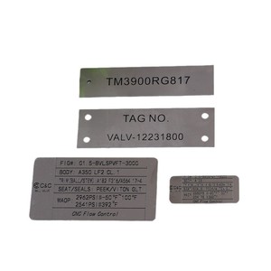 Placa de identificación metálica Genesis de acero inoxidable grabada, etiqueta personalizada para equipos industriales y maquinaria - Product Image 2