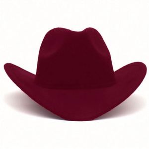 Chapeau de cowboy à bord roulé, style 3D, pour homme, inspiré de l'Europe et des États-Unis, tendance toutes saisons pour l'extérieur - Product Image 3