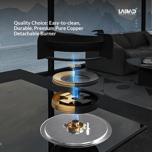 Estufa de Gas de Doble Propósito Lemed Eléctrica con Placa de Inducción Integrada, Alemania - Product Image 4