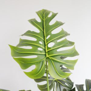 Plantes artificielles décoratives en gros Monstera <span class=keywords><strong>Albo</strong></span> Petite <span class=keywords><strong>plante</strong></span> artificielle Monstera Arbre en plastique en pot Accessoires Monstera - Product Image 5