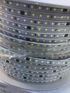 Rüya RGBIC esnek Neon ışıkları 24V piksel LED şerit koşu renk LED Neon silikon LED şerit difüzör 120LED 10 30 60 piksel