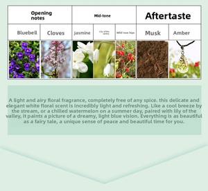 BILA Parfum liquide pour femme, best-seller transfrontalier, diffusion en direct, senteur longue durée, rose, bois d'agar, ébène - Product Image 5