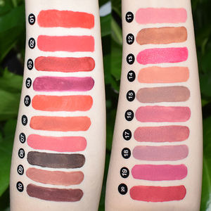 Vegan <span class=keywords><strong>3</strong></span> in 1 su geçirmez yapışmaz dudak parlatıcısı ve dudak kalemi kiti uzun ömürlü yüksek Pigment dudak makyaj seti - Product Image 6