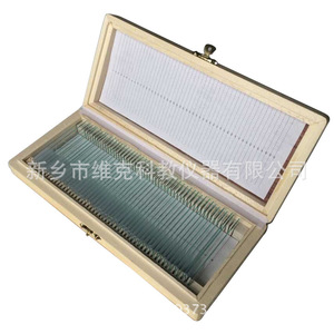 Single-layer columnar epithelial section, epithelial tissue, biological specimen, teaching equipment, <b>microscope</b> slides. - Product Image 4