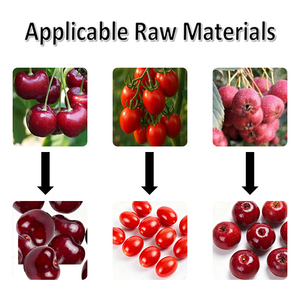 Máquina Desestamadora de Cerezas Comercial Más Vendida, Máquina para Eliminar Tallos de Cerezas de Alta Calidad - Product Image 3