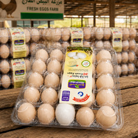Plateau à œufs en plastique PET transparent personnalisable à 30 trous, boîte d'emballage pour œufs recyclable pour œufs de poulet frais