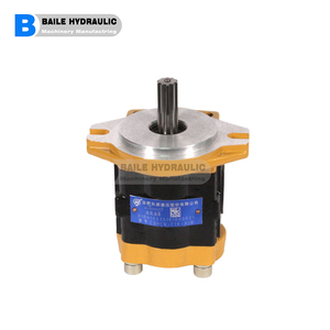 Bomba de engranajes hidráulica serie CBHZ CBHZG  CBHZ-F23 CBHZ-F25 CBHZ-F28 CBHZ-F30 CBHZ-F32 CBHZ-F36 - Product Image 2