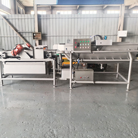 YOUBAN Custom Multifunctionele Vortex Reinigingsmachine Vibratiebelletjes Wasapparatuur voor de verwerking van fruit, groenten en vis