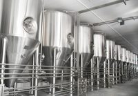 Équipement de micro-brassage 3000L, grande chaudière de brassage pour la fabrication de bière