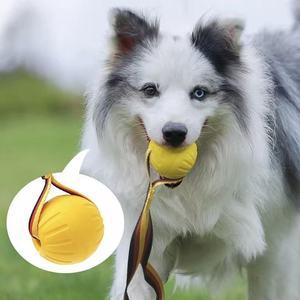 Giocattolo da Masticare Moderno per Cani, Palla da Tennis in Gomma Indistruttibile con Suono, per Allenamento dell'Istinto di Masticazione - Product Image 1
