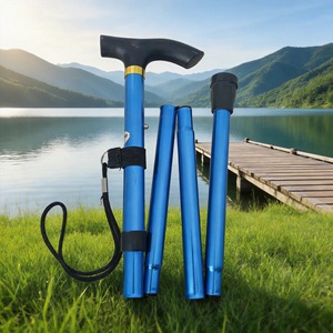 Bâton de randonnée télescopique ultraléger en alliage d'aluminium, cinq sections, aide à la marche en plein air, bleu, rouge, noir, marron, jaune - Product Image 1
