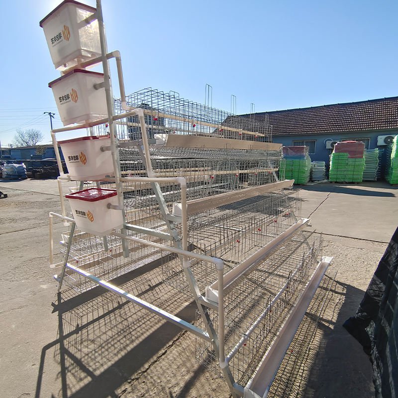 Poultry Farm 5 Tier 250 Bird