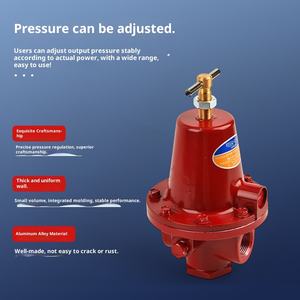 Doğal gaz pnömatik basınç düşürücü vana ev gaz aletleri fabrika doğrudan tedarik 1 yıl garanti özel Logo - Product Image 2