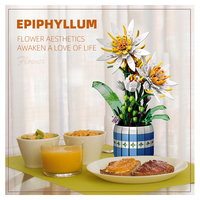 Juguete de plástico para mesa de oficina, adornos para casa, modelo de flor DIY, juego de bloques de construcción Epiphyllum para edades de 8 a 13 años, Unisex