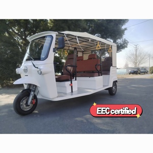 Tricycles électriques à <span class=keywords><strong>trois</strong></span> <span class=keywords><strong>roues</strong></span> pour adultes à vendre, 9 places, véhicule EEC avec pneus lourds à grande vitesse - Product Image 1