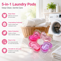 Lessives concentrées 5-en-1 sous marque blanche – Perles de lavage multifonctions, directement de l'usine