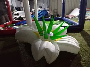 ดอกลิลลี่เป่าลม LED ยาว2เมตร, ดอกลิลลี่เป่าลมสำหรับตกแต่งงานเต้นรำในสวน - Product Image 6