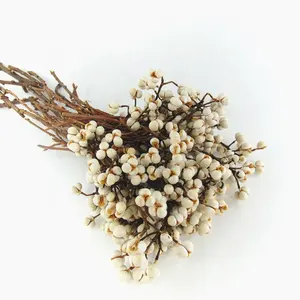 New product 250g dried chinese tallowtree white flowers dry mini flowers foam flowers bouquet box