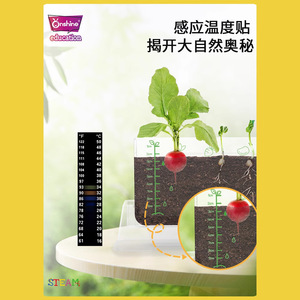 Onshine Little Plant Researcher, boîte de culture transparente pour la croissance des racines, kit éducatif DIY pour enfants de 4 à 6 ans - Product Image 3