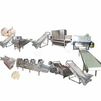 Équipement de fabrication de pâte gingembre ail poudre bon marché