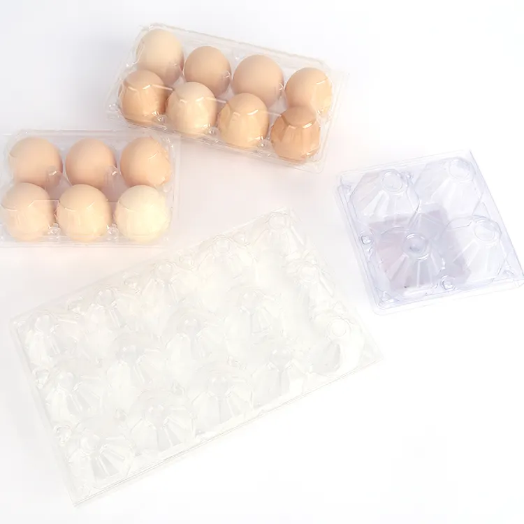 Kotak wadah kemasan nampan telur kotak cangkang bening transparan PVC hewan peliharaan plastik kualitas tinggi kustom pabrik grosir
