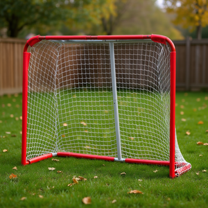 But de hockey sur gazon en acier pour jeunes, 54x44 pouces, intérieur/extérieur, équipement sportif pour enfants - Product Image 2