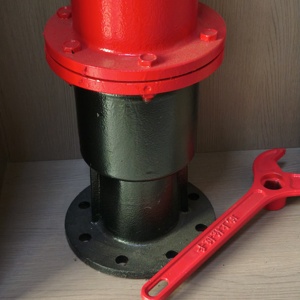 Hydrant anti-collision pour incendies au sol |   Robinet d'incendie flexible extérieur en fonte thermolaquée 2/3 voies DN65 DN80 1.6MPa - Product Image 3