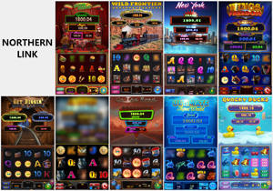 Centre de jeux QIQU USA, jeu populaire Northern Link Multi Game 9 en 1, jeu de compétences sur PC, jeu Quacky Bucks pour borne d'arcade. - Product Image 2