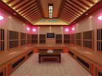 Sauna infrarouge lointain en bois massif de pruche pour 3 personnes, avec panneau de commande informatisé et faible EMF – Maisons miniatures abordables