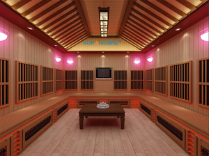 Sauna infrarouge lointain en bois massif de pruche pour 3 personnes, avec panneau de commande informatisé et faible EMF – Maisons miniatures abordables - Product Image 3