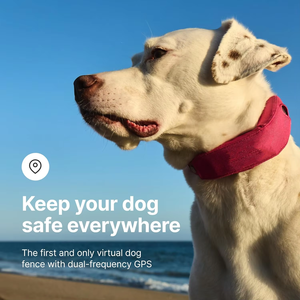 Collar Halo 4, Nuevo Collar de Adiestramiento y Valla Inalámbrica para Perros con GPS y Rastreo en Tiempo Real, Impermeable, Talla Única (4 Colores) - Product Image 6