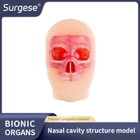 Modelo de Enseñanza Médica de la Estructura Nasal para Simular la Colocación de un Stent Después de una Cirugía Sinusal