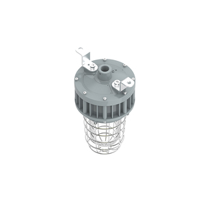 Luminaire anti-explosion en verre trempé de classe 1, division 1, avec protection en acier inoxydable, 20W/30W/40W, homologué UL ETL - Product Image 6