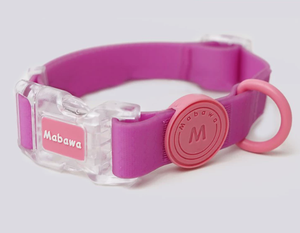 Cintas de Color Personalizado con Patrón Sólido, Ecológicas e Impermeables para Collares de <span class=keywords><strong>Perro</strong></span> de PVC para Caminar y Entrenar - Product Image 5