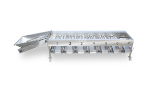 Ligne de production de jus de fruits Machine de tri pour le lavage des fruits à bulles d'ozone orange Ligne de production d'oignons déshydratés - Product Image 6