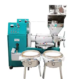 High efficiency sunflower palm cold and hot oil press machine production line in China on sale