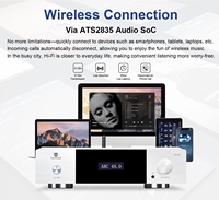 Amplificador Hi-Fi Integrado Winner AD-60 con Decodificador DAC sin Pérdidas y Amplificador para Auriculares, Receptor Estéreo Todo en Uno