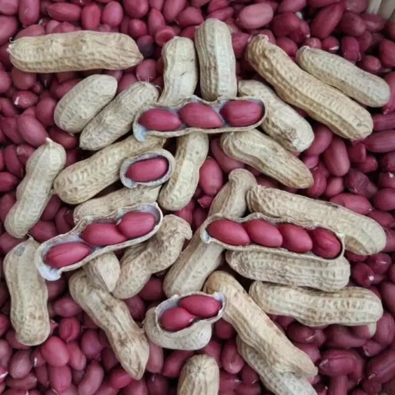 Red skin peanuts with high nutritional value originated in China