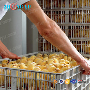 Incubadora <span class=keywords><strong>de</strong></span> Huevos <span class=keywords><strong>de</strong></span> Pollo, Ganso, Reptil, Pavo, Pato, Codorniz, Emú, Máquina para Incubar 125 Huevos, Nueva Incubadora <span class=keywords><strong>de</strong></span> Plástico <span class=keywords><strong>de</strong></span> Gran Tamaño con Bandejas <span class=keywords><strong>de</strong></span> Incubación - Product Image 6