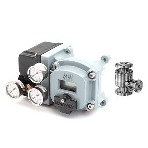 Repuestos Masoneilan SVI II de Alto Rendimiento Digital con Válvulas para Central Eléctrica de Shanghái, Repuestos SVI II - Product Image 1