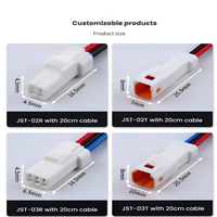 Konektor JST untuk Mobil Tahan Air 2/3/4/6/8 Pin Kabel Tembaga Berinsulasi PVC