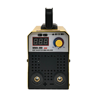 Machine à souder à l'arc MMA à onduleur 300 ampères, 220V/110V, pour usage domestique, fabriquée par un professionnel, modèle à une carte électronique