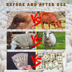 Voederadditief Vitaminen AD3E voor rundvee, schapen en geiten. Vitamine AD3E poeder voor vee. - Product Image 3