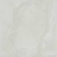 Carrelage en porcelaine émaillée gris clair 60x60, finition brillante pour projets résidentiels