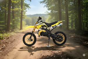 Prix direct usine – Moto tout-terrain 49cc pour enfants débutants, démarrage manuel, vitesse maximale 40-60 km/h, pour 3-12 ans, livraison gratuite - Product Image 2