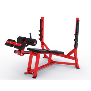 Panca Inclinabile/Declinabile in Acciaio per Esercizi Pettorali, Attrezzatura da Palestra, Panca Fitness per Pesi Liberi, Inclinazione 55 Gradi - Product Image 6