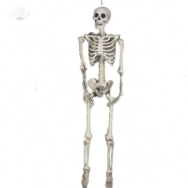 Halloween Props Scary Decorations Plastic Large 170Cm Full Life Size Halloween Skeleton